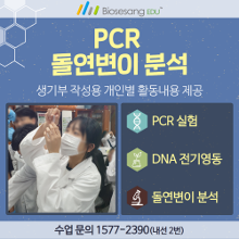 PCR 돌연변이 분석