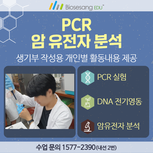 PCR 암 유전자 분석